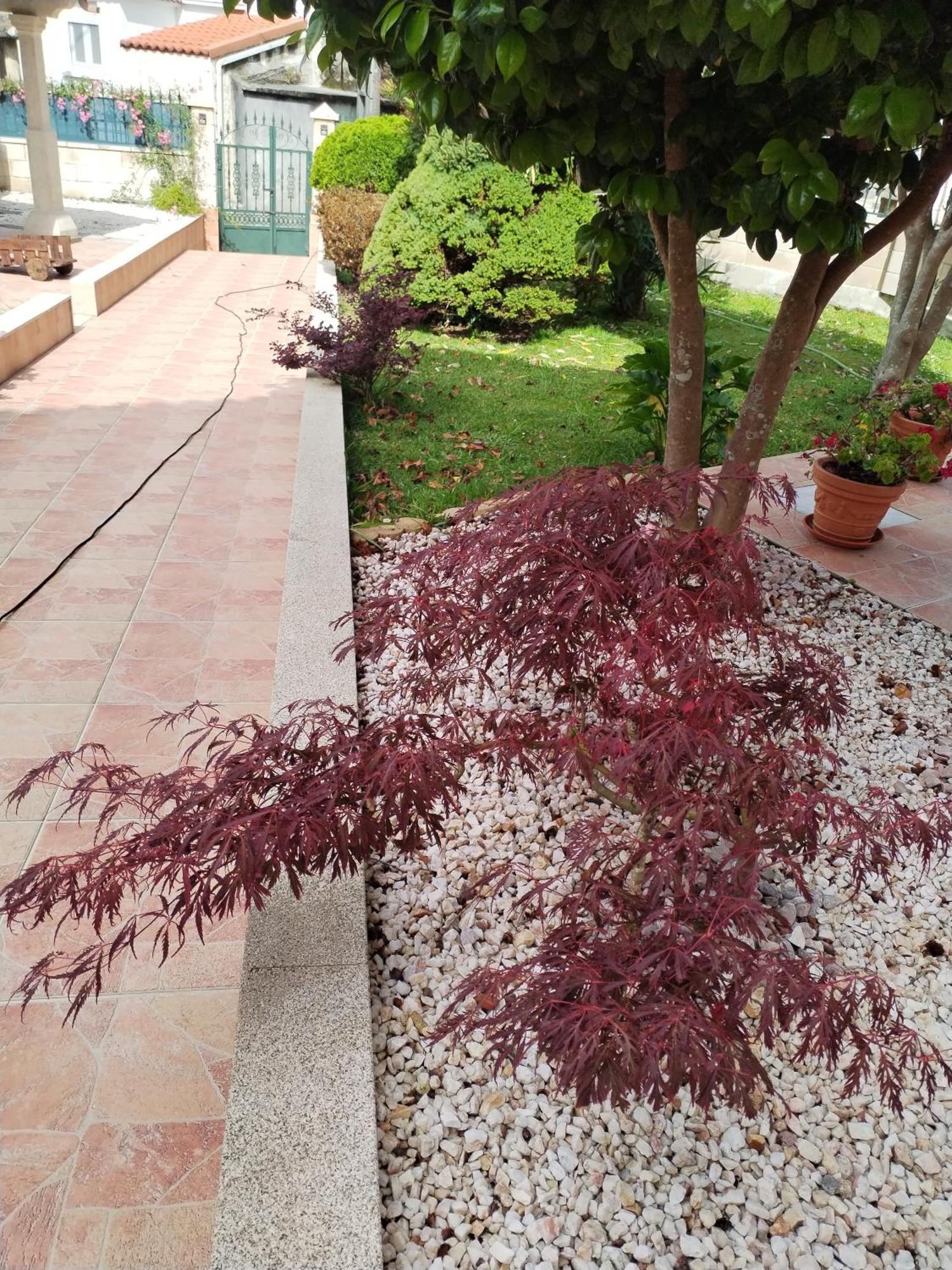 Casa Lopez Villa Carnota Buitenkant foto